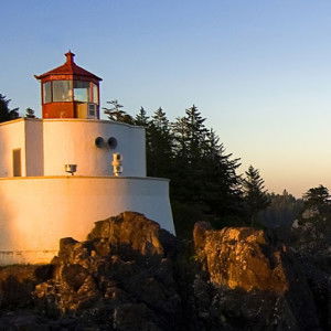 safitri lestari profile icon