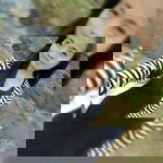 Wety C'cwex Bhawel profile icon