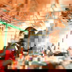 Dwi Ardiyanti profile icon