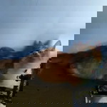 Mifta Asna profile icon