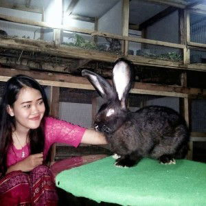 Pegy Setiawan profile icon