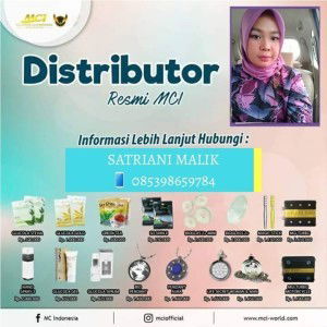 Satriani Malik profile icon