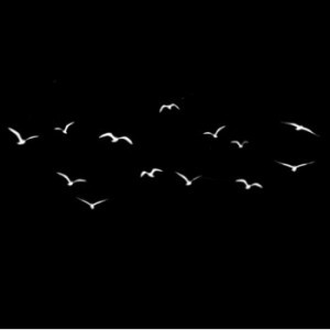 isnaini indah marthaningtyas profile icon