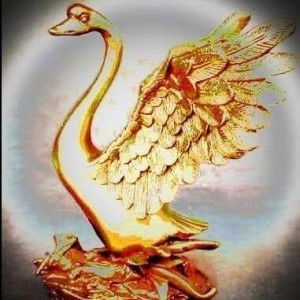 สมพิตร ทองหนูนุ้ย profile icon