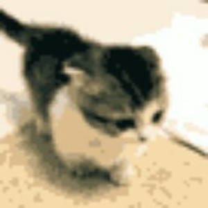 Nia Karmila profile icon