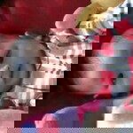 Alya Ade Selamanya profile icon