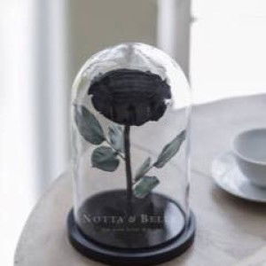 Rosiana Ervianti profile icon