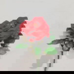 Jannah Noey profile icon