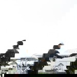 Ainna Abas profile icon