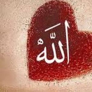 shafiyyah profile icon