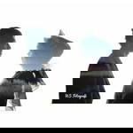 Rani P. Chaerani profile icon