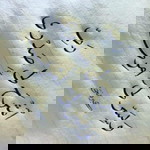 Iezchy Wahyuni profile icon