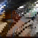 ศิริลักษณ์ มหาชัย profile icon