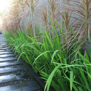 Dewinta Kurnia profile icon