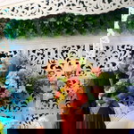 Cahya Nurhidayatun profile icon