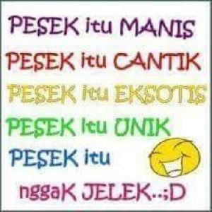 Eka Nyaa Teddy profile icon