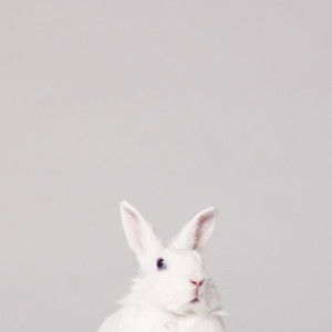 มอมแมม profile icon