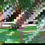 Pepe Thanaphat profile icon