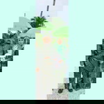 Aqila Izzati profile icon