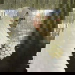 Aisyah Fadullah profile icon