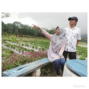 Comel Scremo profile icon