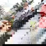 Hamid Twisqi profile icon