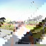 Nicole Manalo profile icon