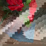 Nur Teha Fatihah profile icon