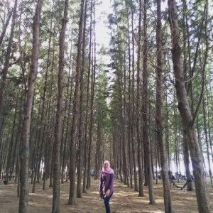 Adel Adelaa profile icon