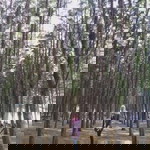 Adel Adelaa profile icon