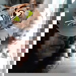 กัลยรัตน์ ประสพบุญ profile icon