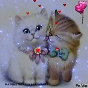 Keyla Ajah profile icon