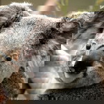 Res Begaso profile icon