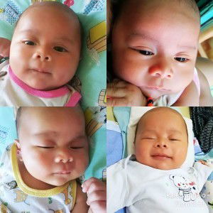 Shie Hernandez profile icon