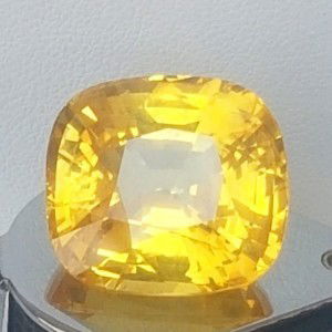 Rossticha Tazkia profile icon