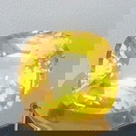 Rossticha Tazkia profile icon