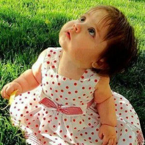 Taman bunga profile icon