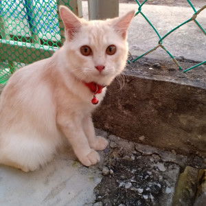 Nyna B. profile icon