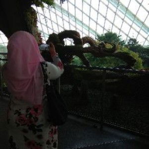 Nurashiqin Binte Azhari profile icon