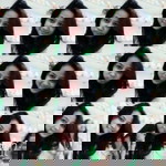 Maya Agustine profile icon