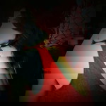 Wilmae Sabio Doroni profile icon