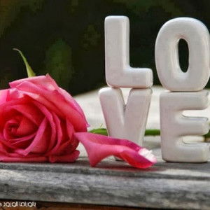 Rizka Amalia Suparta profile icon