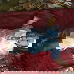 Firdaus Ulem profile icon