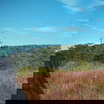 Nur Laila Syifa profile icon