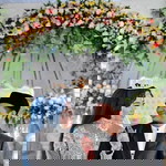 Ana Hawaul Ain profile icon