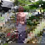 نورحسني صفاريه ناوي profile icon