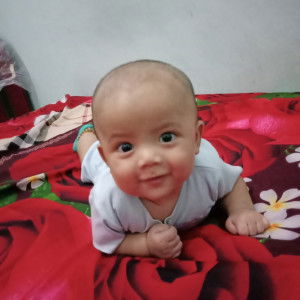 Mei Sya Putri Lubis profile icon