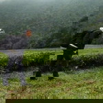 Aries Rosmayanti profile icon