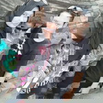 Rani Setiawan profile icon