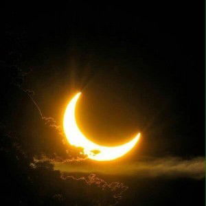 Pau Line profile icon